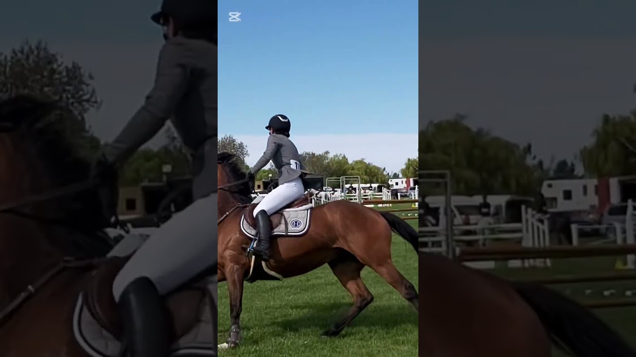 Horse Jumping at Waimate 