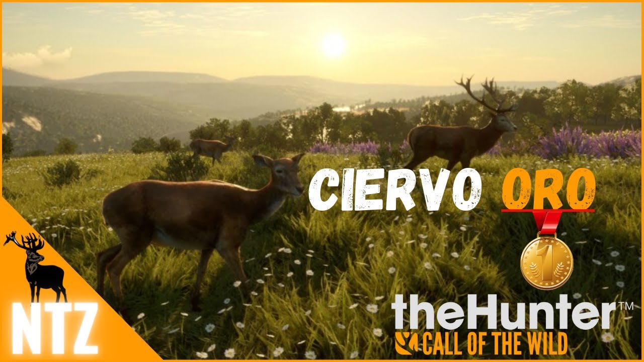 CAZANDO CIERVOS POR CUATRO COLINAS | The Hunter Call Of The Wild🦌