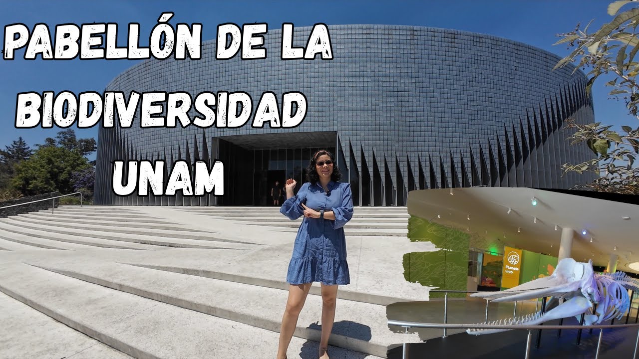 Descubre el Pabellón de la Biodiversidad UNAM | ¡Un museo moderno, interactivo y GRATIS! | CDMX