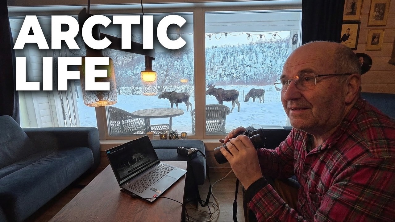 Another Wild Monday morning at 70°N - Arctic living