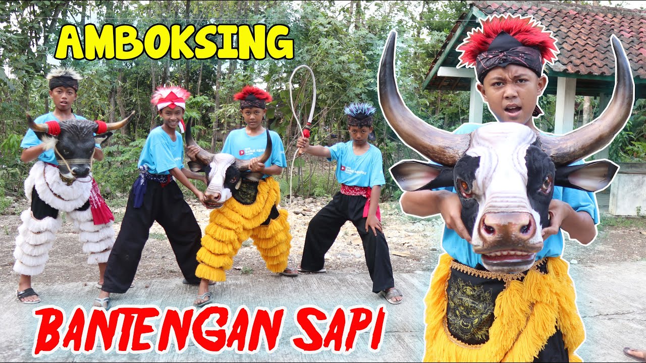 ANBOKSING BANTENGAN SAPI LUCU LANgSUNG DI AJAK MBEROT SAMPAI KALAP | Nadin And Friend | barongan