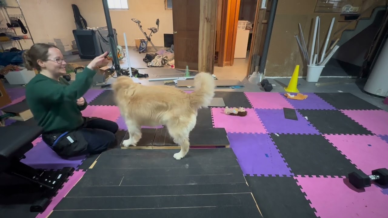 011626 side step down 