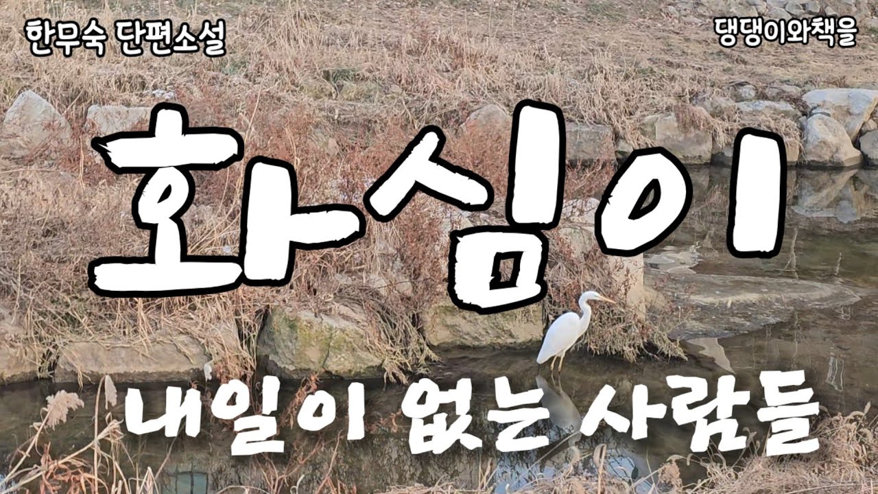 한무숙/할머니는 날이 갈수록 물 우에 기름 돌듯 겉으로만 도는 것 같아 외로웠다/책읽어주는여자 