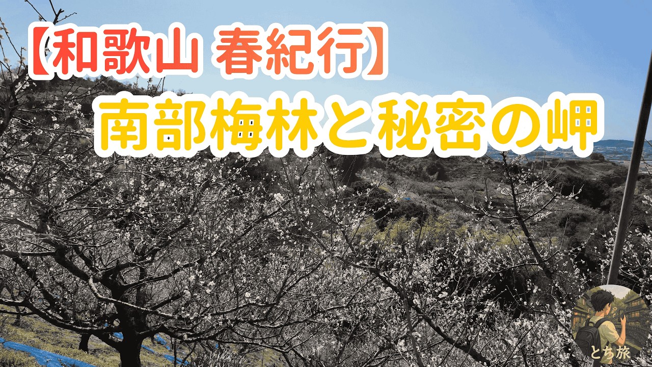 【ナビの罠に注意】春を告げる日本最大級の梅林と過酷な道の先に待つ絶景
