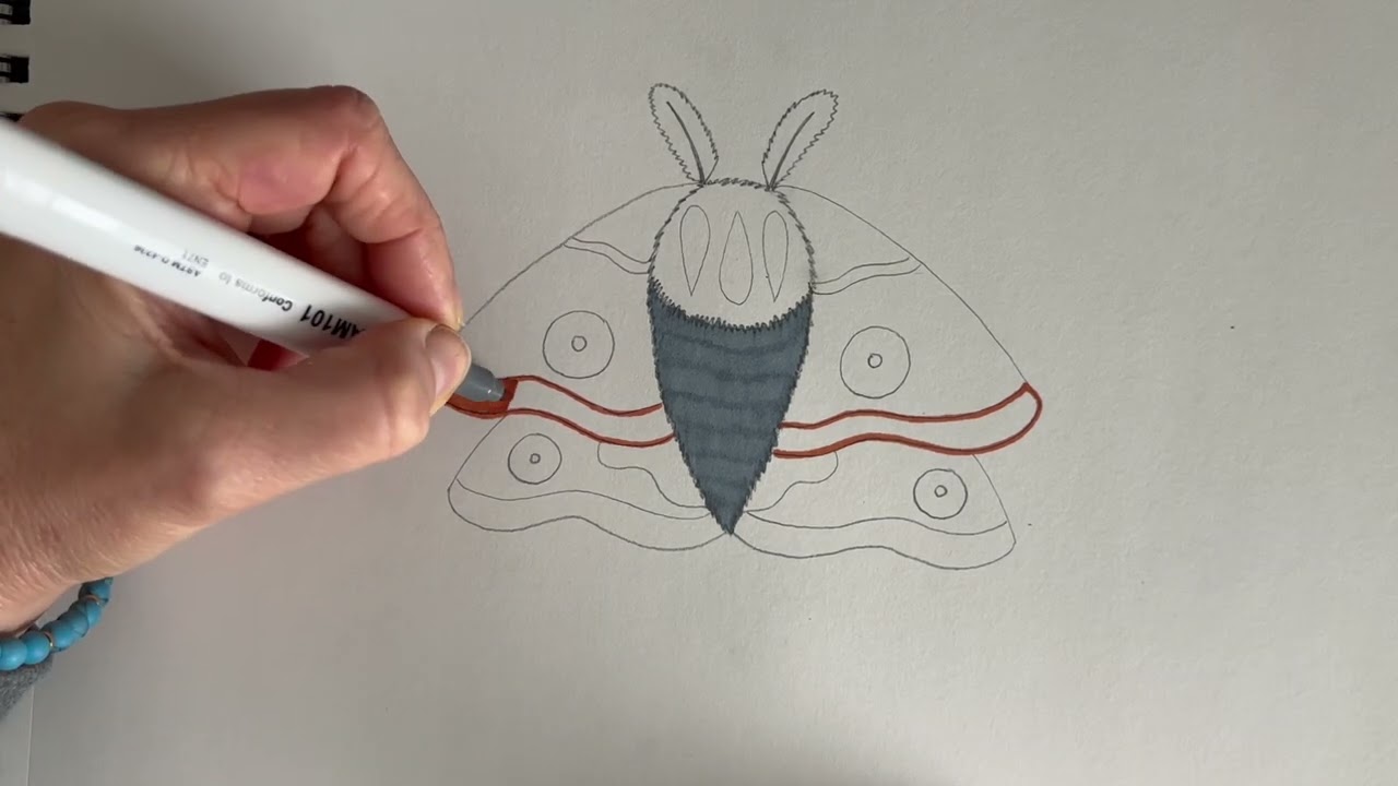 How to draw a moth