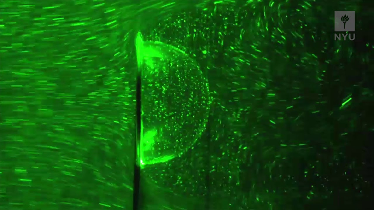 The Science Behind Bubbles