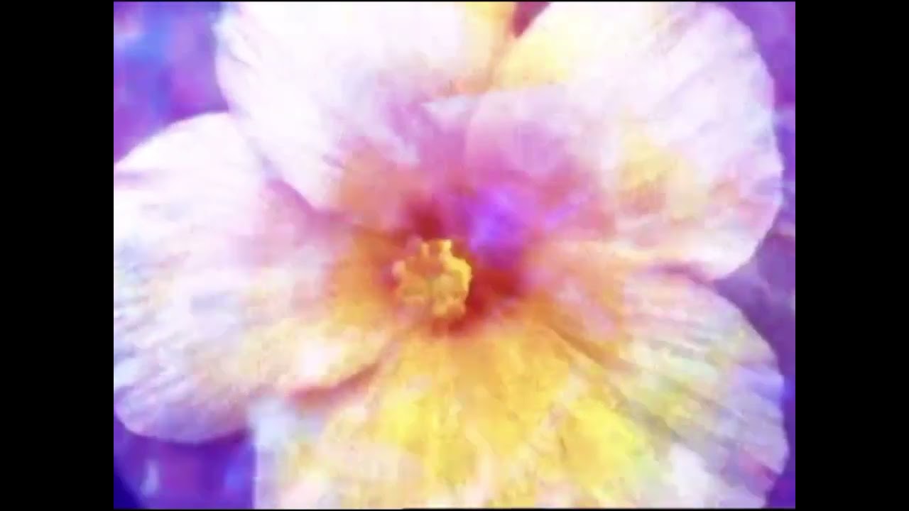 [FIVIDTELEFUZZERATOR] Solar Bears - She Was Colored In