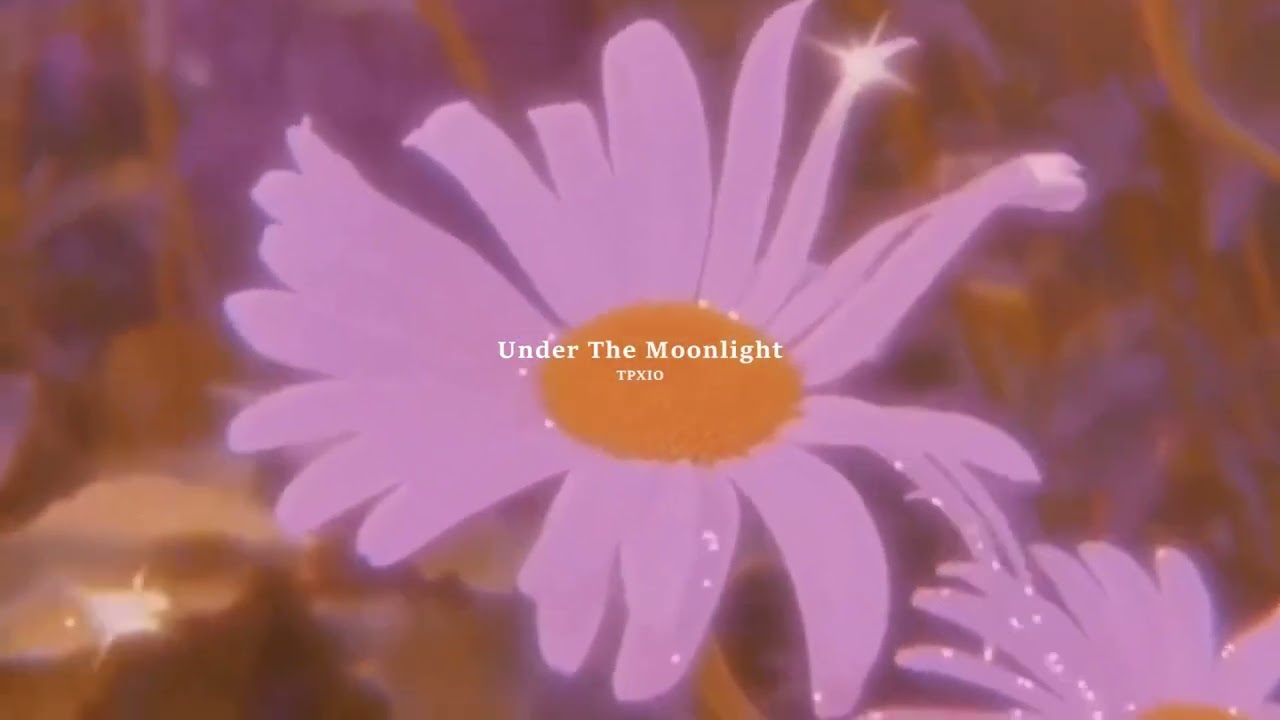 Free |432Hz| Ambient Interlude Type Beat | Under The Moonlight | (prod. TPXIO)