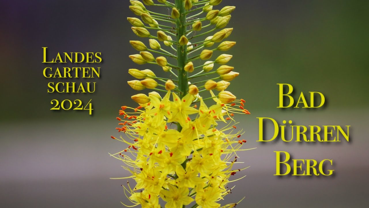 Landesgartenschau Bad Dürrenberg 2024 Doku