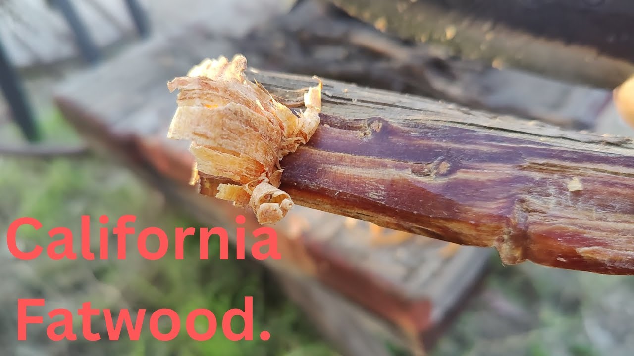 Lighting charcoal with California fatwood | ferrocerium rod and ferrocerium rod striker | Mischmetal