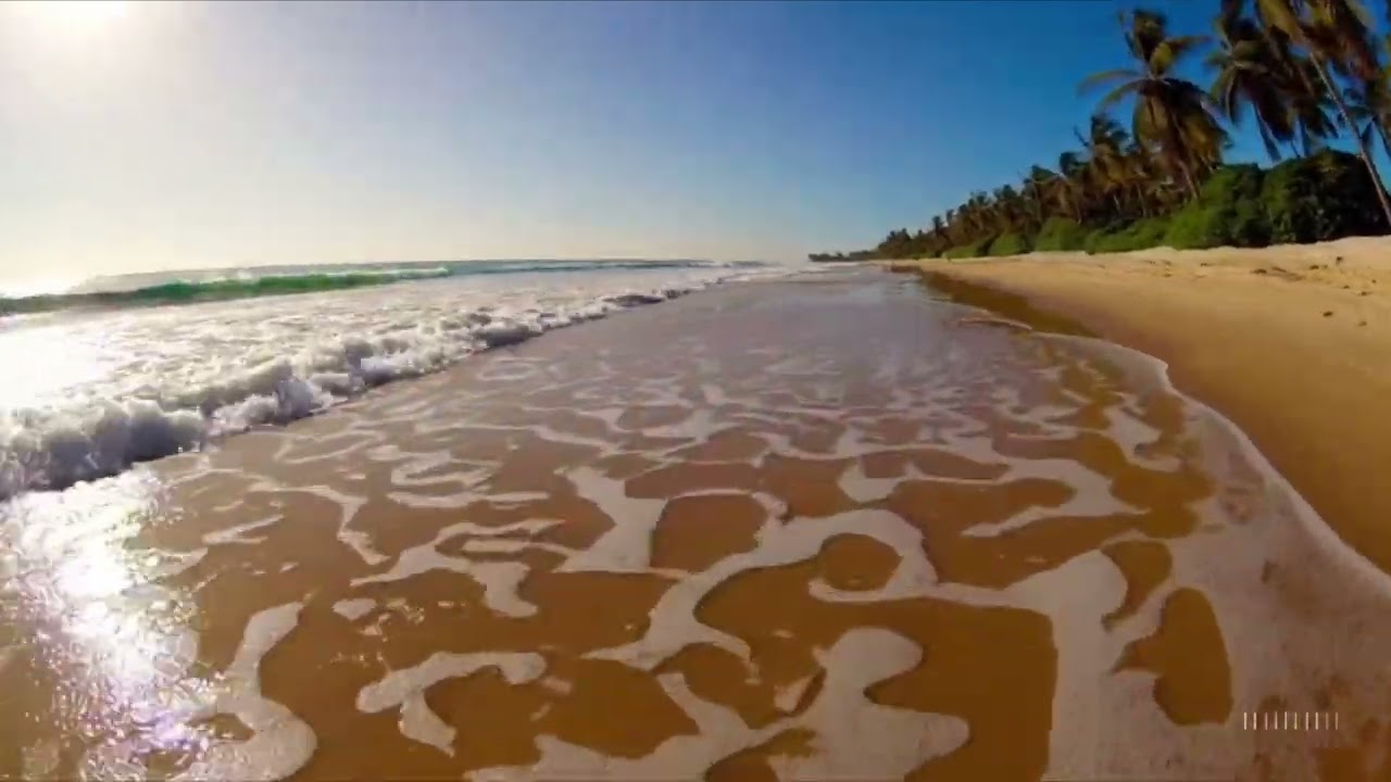 Laid back Tropical Summer Rythym Music – calming tropical vibes for relaxation and study