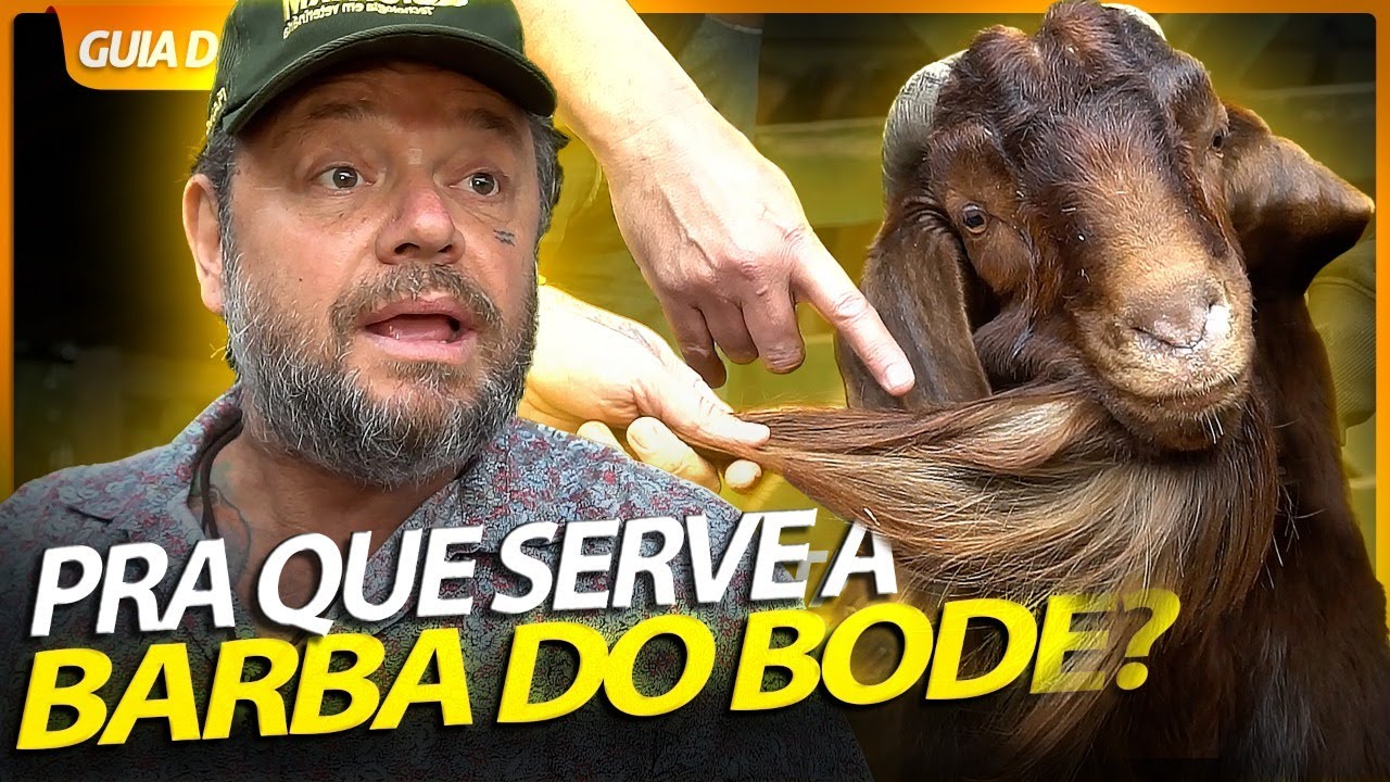 CAPRINO BOER E KALAHARI, OS BODES GIGANTES! | RICHARD RASMUSSEN