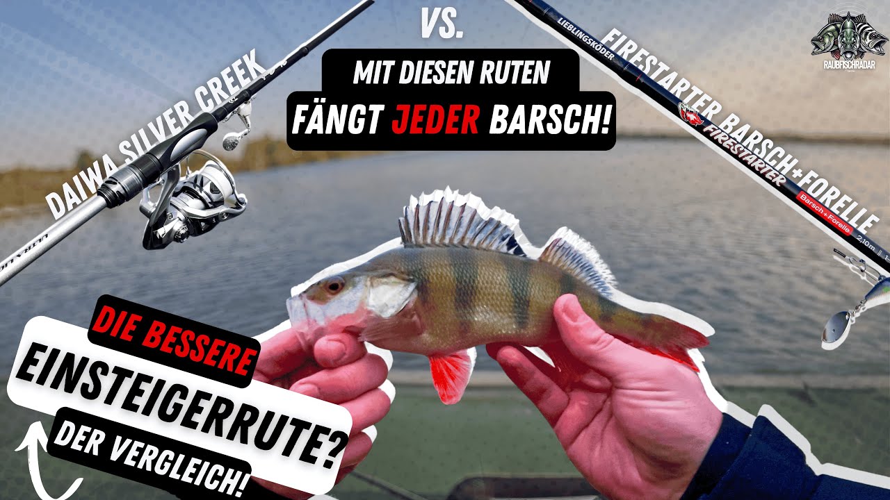 Diese Einsteiger Barsch-Ruten MUSST du kennen!🎣 | Daiwa Silver Creek UL vs. Firestarter B+F | Angeln