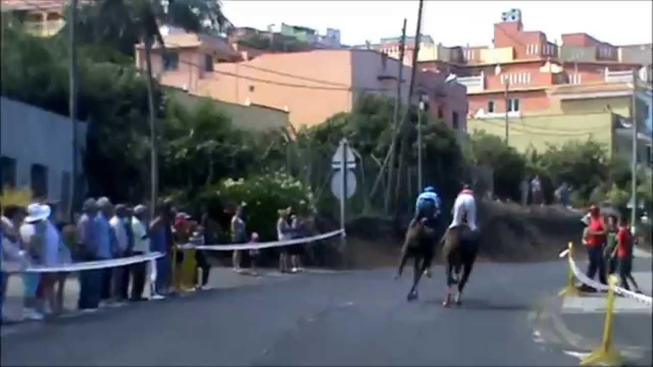 CARRERA DE CABALLOS ICOD EL ALTO 2014