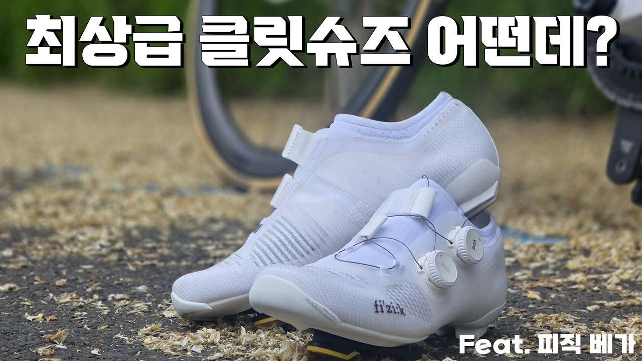 이거 나한테 맞는 건가?ㅣ피직 베가ㅣ리뷰