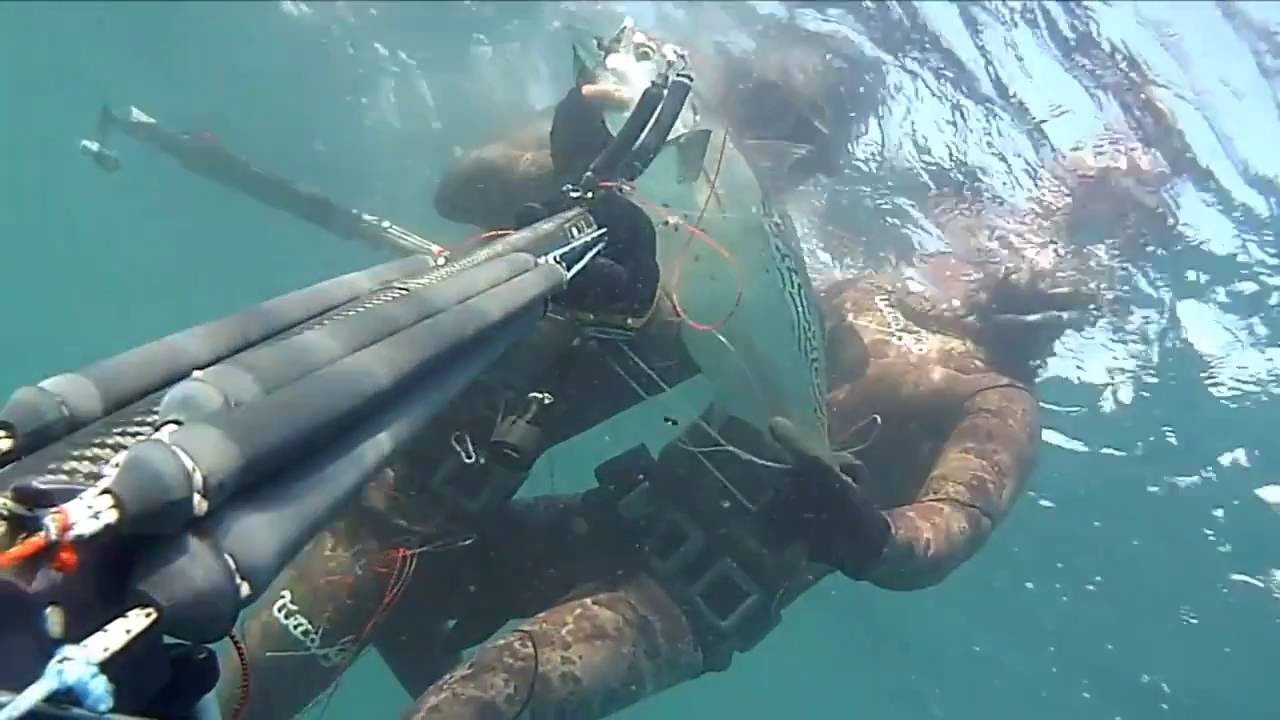 alletterato MICHELANGEO 85 fusion demo k di guido brunetta #ROISUB #SPEARFISHING