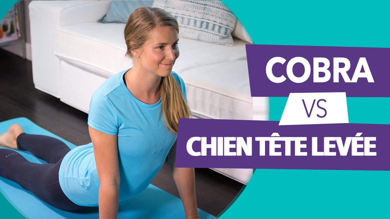 La différence entre la posture du chien tête en haut et cobra