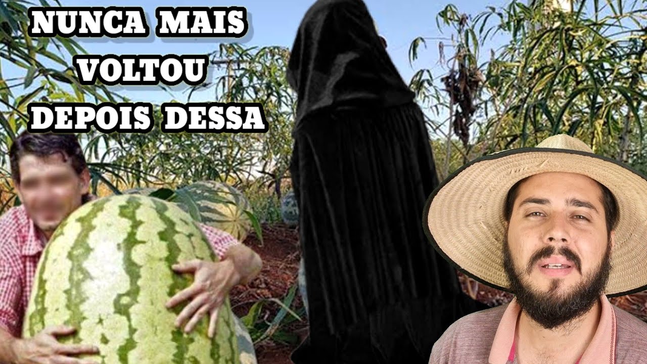 O Plano do Caboclo lavrador para pegar quem estava Roubando sua roça de melancia