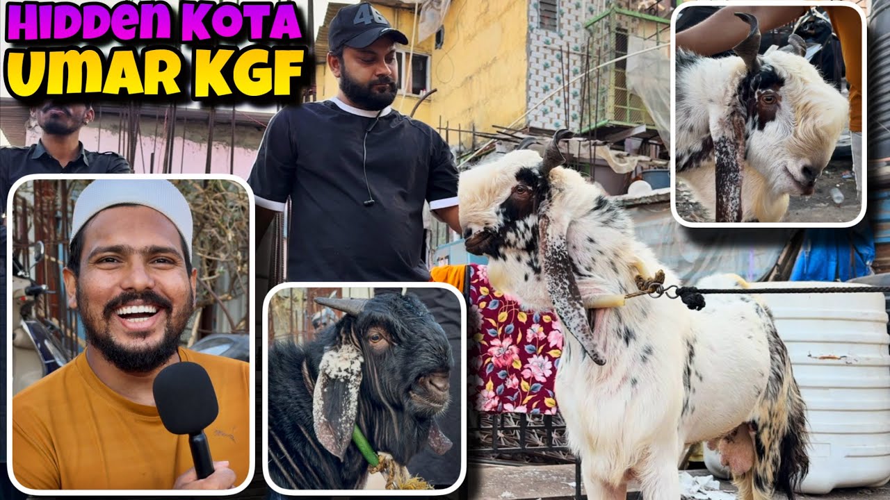 HIDDEN TOP QUALITY KOTA of UMAR&rsquo;s KGF ANDHERI | First Time On YOUTUBE
