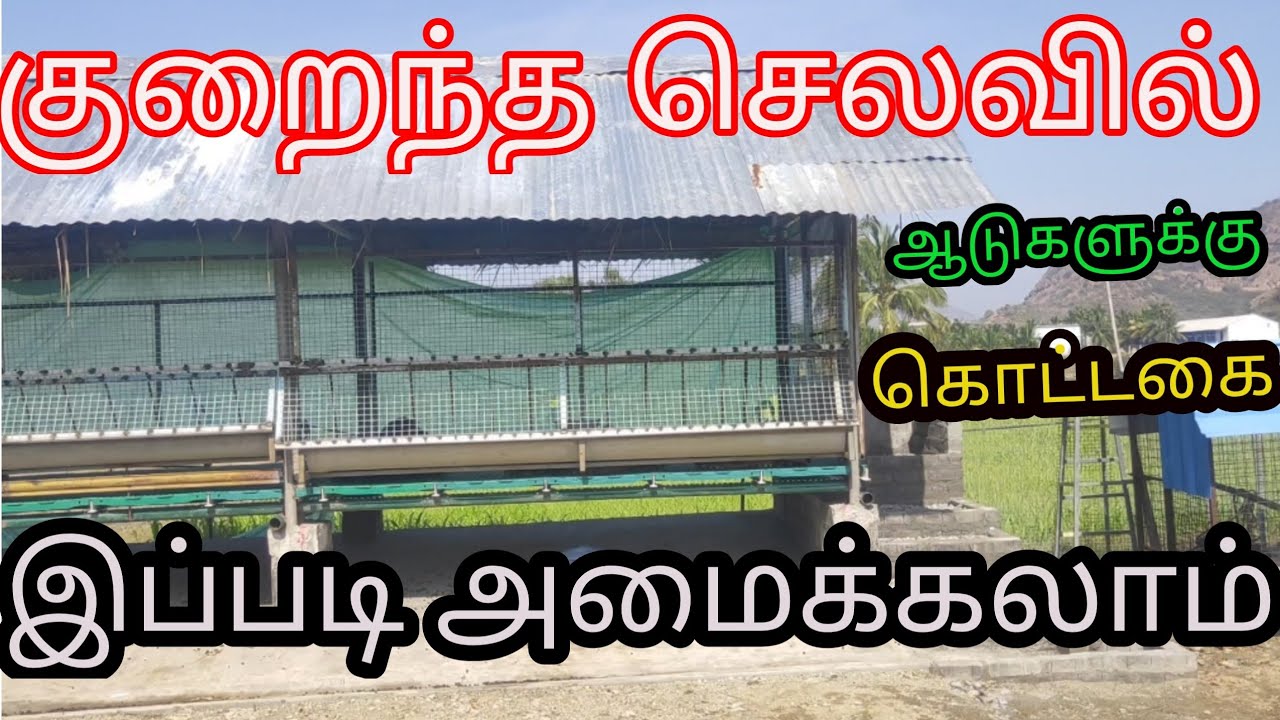 குறைந்த செலவில் ஆட்டுக்குட்டி கொட்டகை அமைக்கும் முழு  வீடியோ