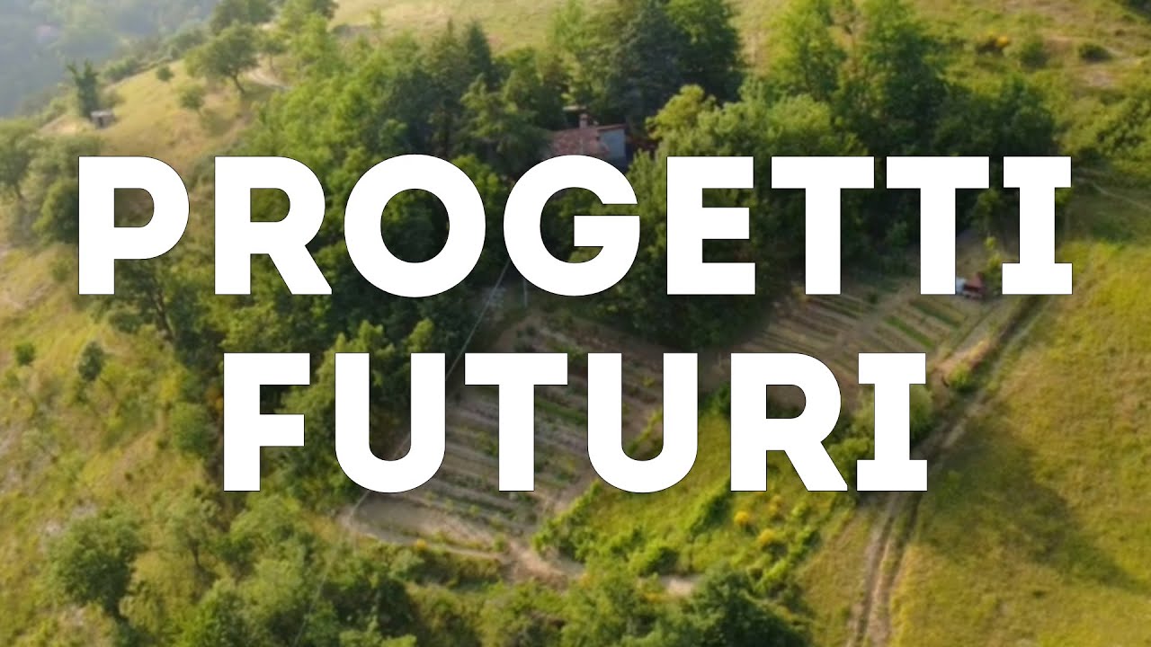 Progetti futuri:  Uliveta + Coltivazione di funghi