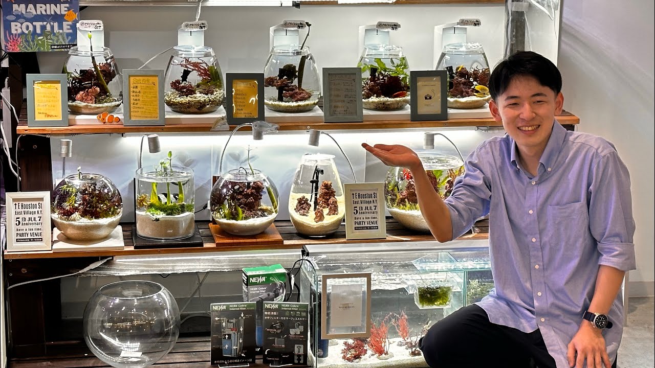マリンボトルの極み！海浜幕張店ショートマンTV!