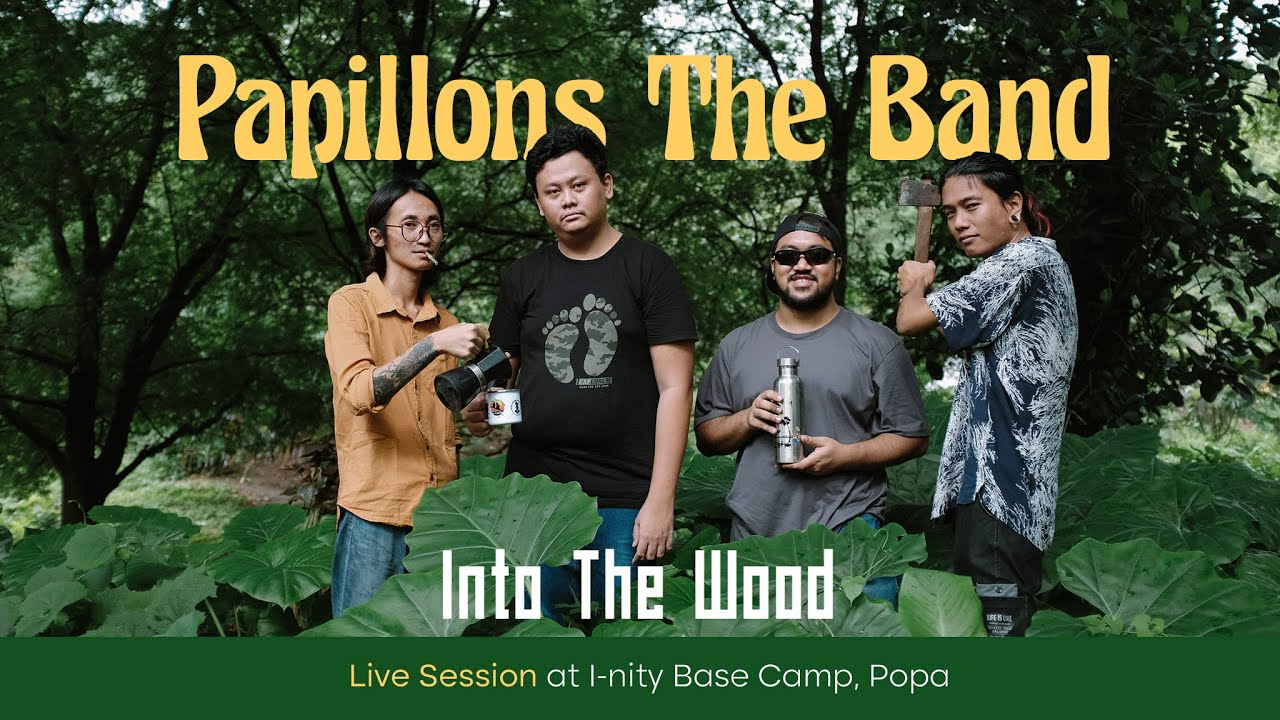 Papillons The Band - Into The Wood (Live Session)