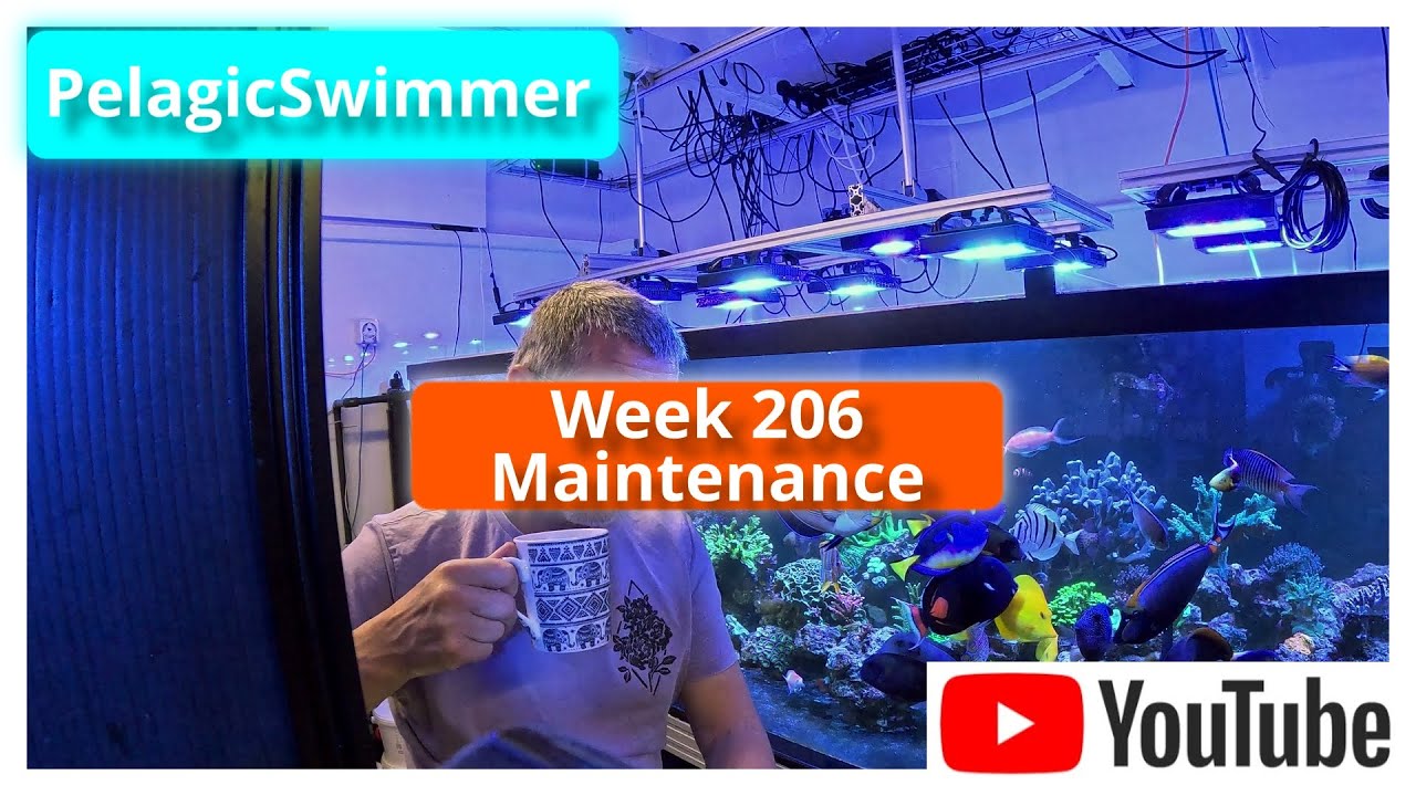 Week 206 Maintenance