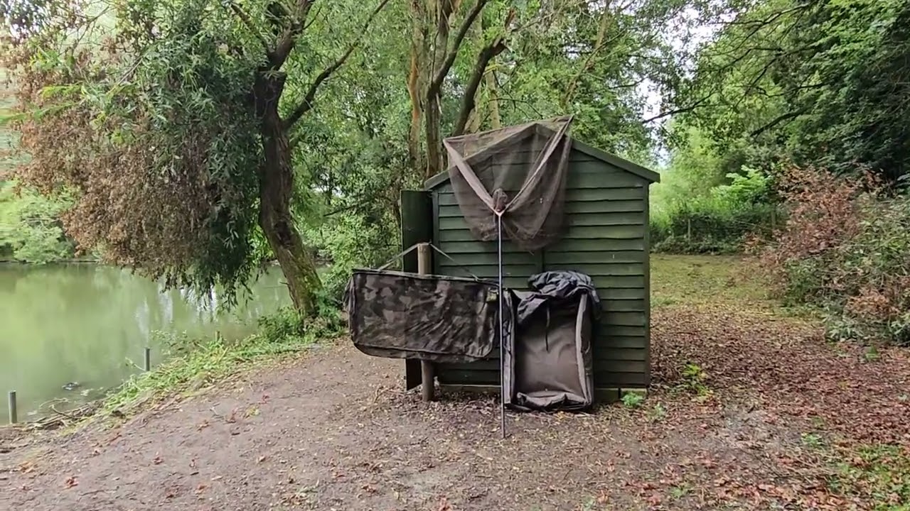 Carp Society 2024 July