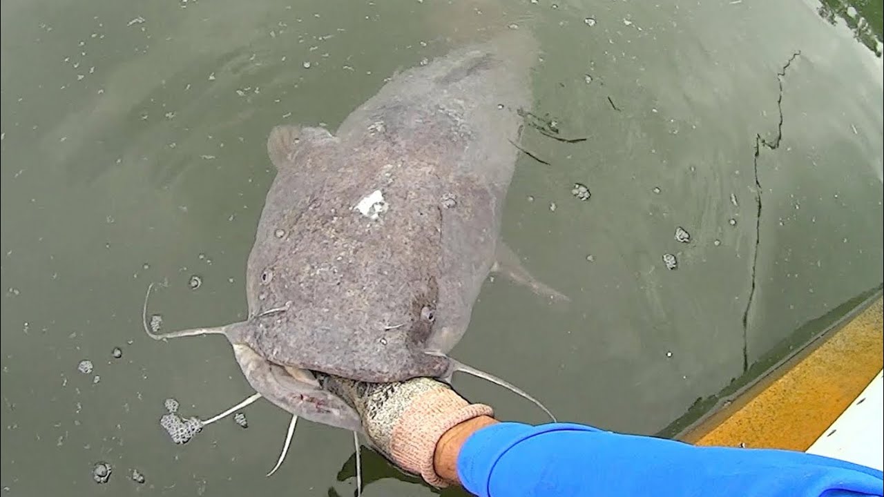 I Have Been Waiting On This Fish For A Long Time