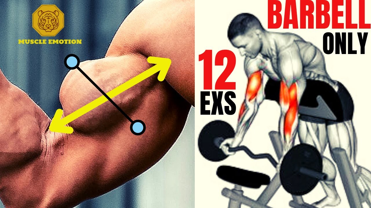 12 BEST BICEPS EXERCISES WITH BARBELL ONLY / Les meilleurs exs musculation biceps avec BARRRE .
