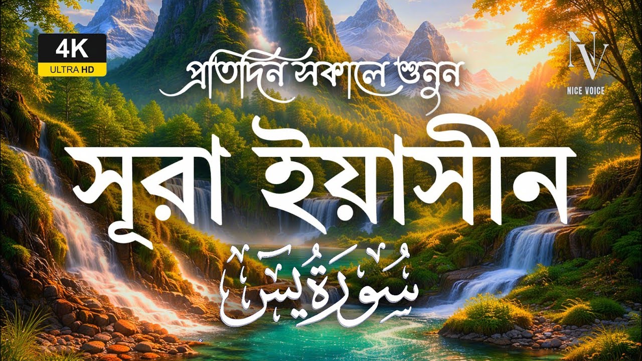 প্রতিদিন সকালে শুনুন সূরা ইয়াসিন | سورة يس | Listen Surah Yaseen Morning | Alaa Aqe