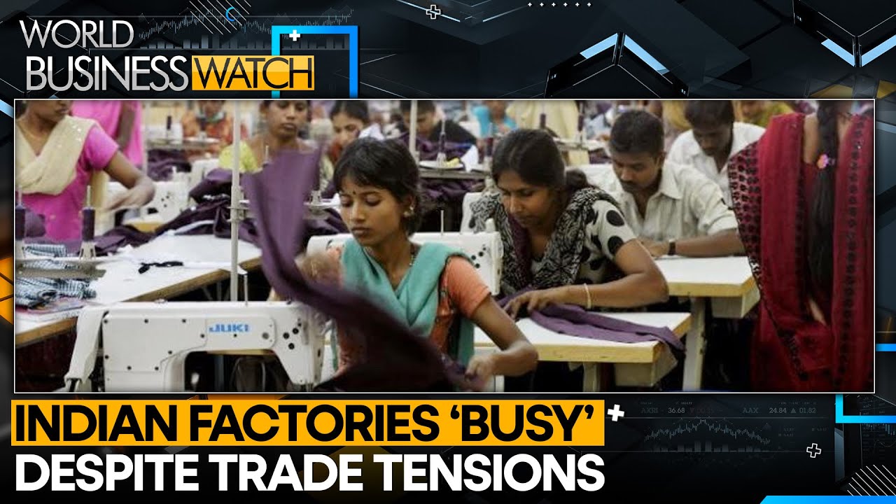 Indian Garment Exports to U.S. Continue Despite Political Strain | WION Business Watch