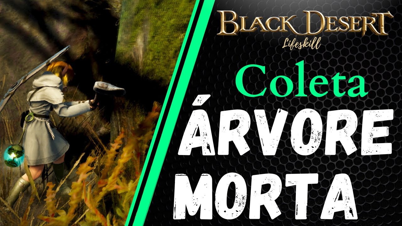 [BDO Lifeskill] Coleta: Árvore-Morta (Dead Tree rotation)