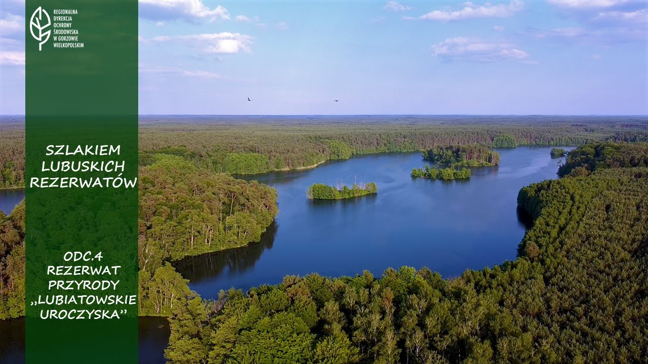 Lubiatowskie Uroczyska 🌲🐦Szlakiem Lubuskich Rezerwatów odc. 4