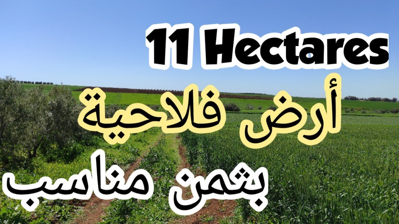 ✨هاا الهمزة جآآآت✨ أرض فلاحية 11 هكتارات نواحي مكناس فقط ب 30 مليون ، لمشرى إتنزه الطبيعة ماشاء الله