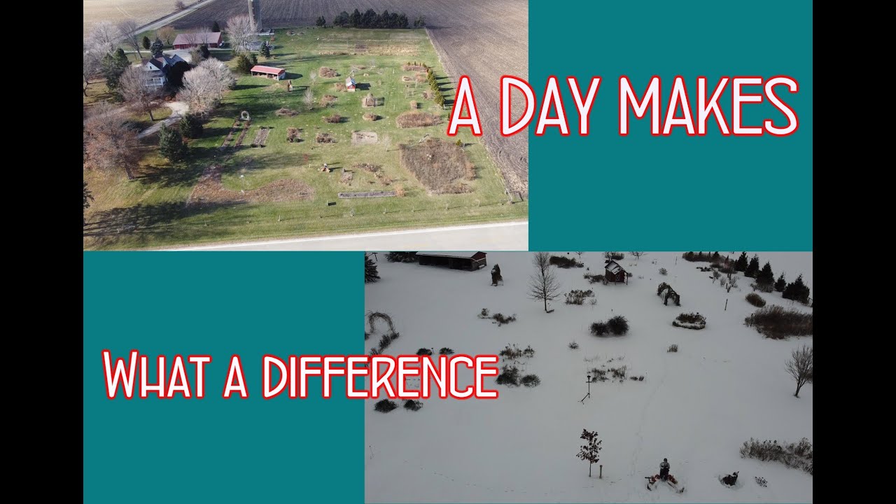 What a difference a day makes!