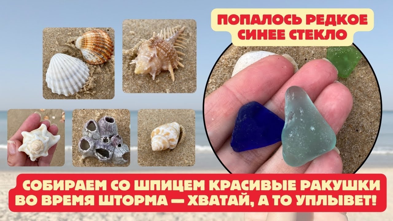 ПОИСК МОРСКИХ СОКРОВИЩ СО ШПИЦЕМ / СИНЕЕ СТЕКЛО и ДРУГИЕ МОРСКИЕ ДИКОВИНЫ #шпиц #средиземноеморе  
