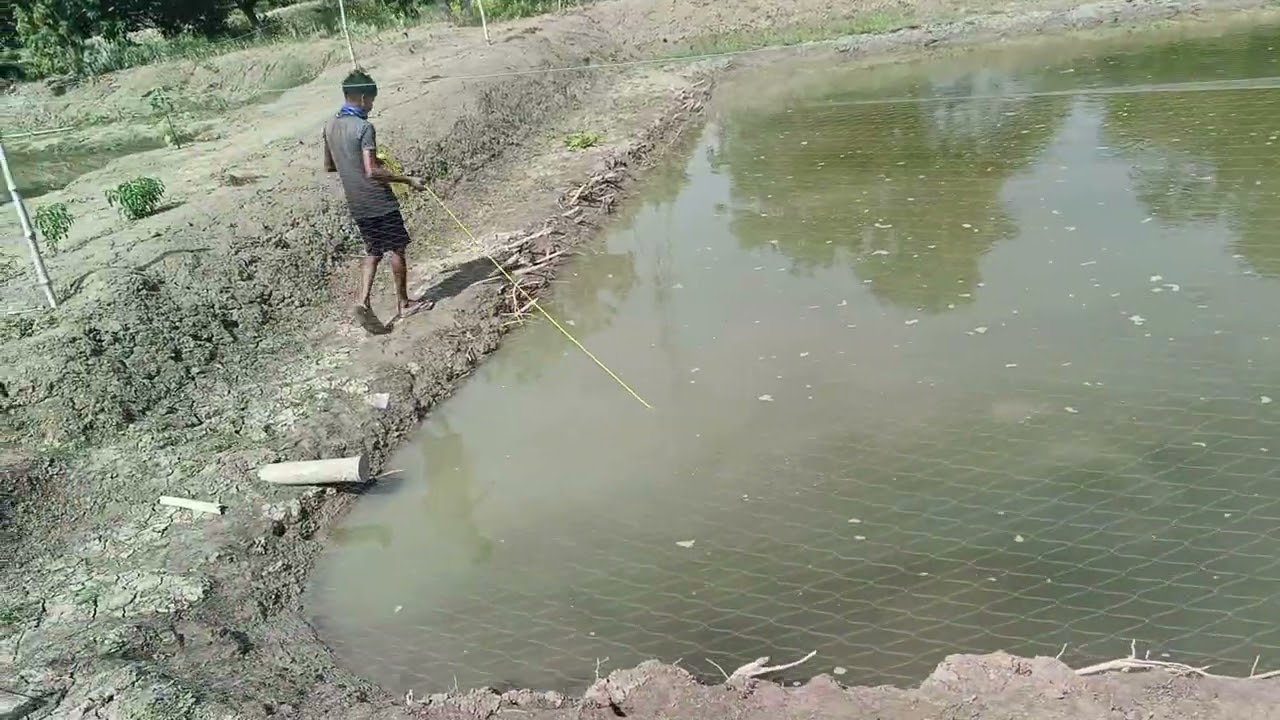 Surface cleaning of the pond.