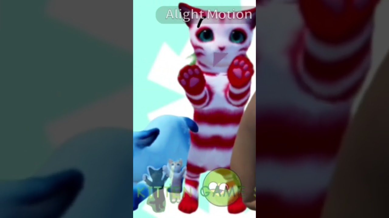 The incredible and new seasonal Christmas cats 