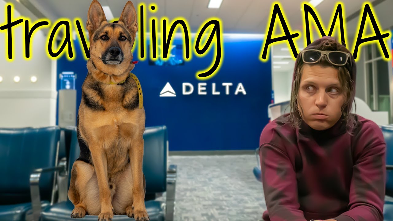 Traveling with Dogs or Cats AMA. | Solo RV Life