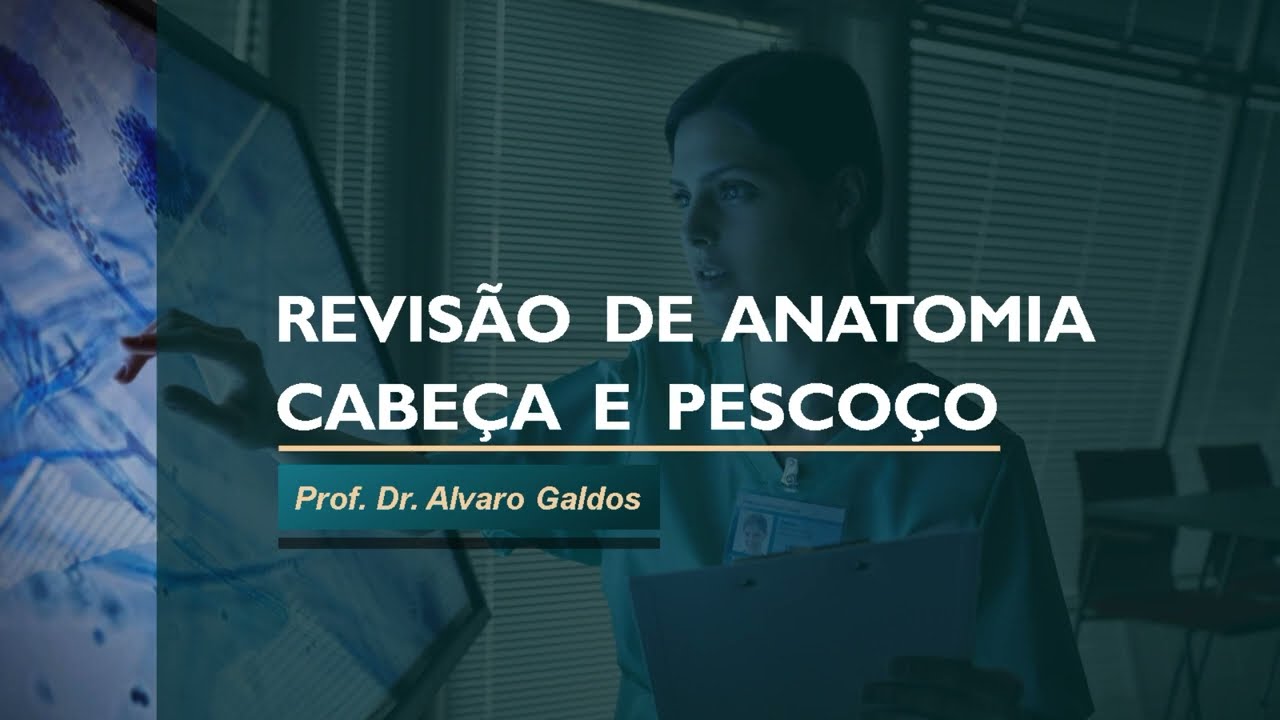Anatomia Cabeça e Pescoço - Revisão