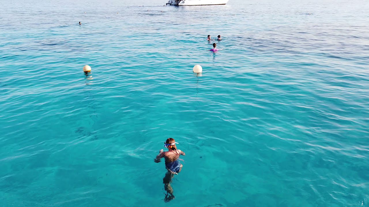 2021 Reef Oasis Beach resort 5* - restaurant, beach, reef Sharm El Sheich.