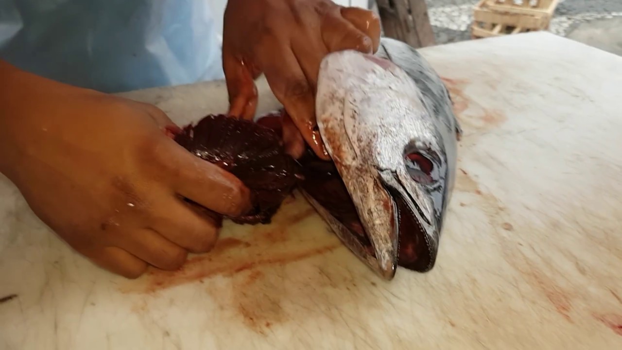 ATUM LIMPO MODO FÁCIL.....