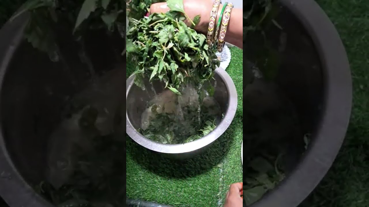 एक बार इस तरीके  से बनाएं बथुआ के पराठे देखते ही मुंह में पानी आ जाए