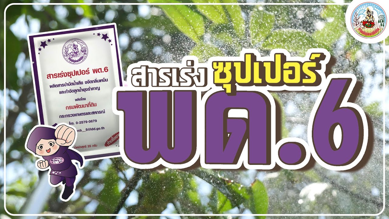 กรมพัฒนาที่ดิน-สารเร่งซุปเปอร์ พด.6 ยกกำลัง 3 บำบัดขจัดลดน้ำเสียเชียร์ให้ใช้ไร้ยุงรำคาญ