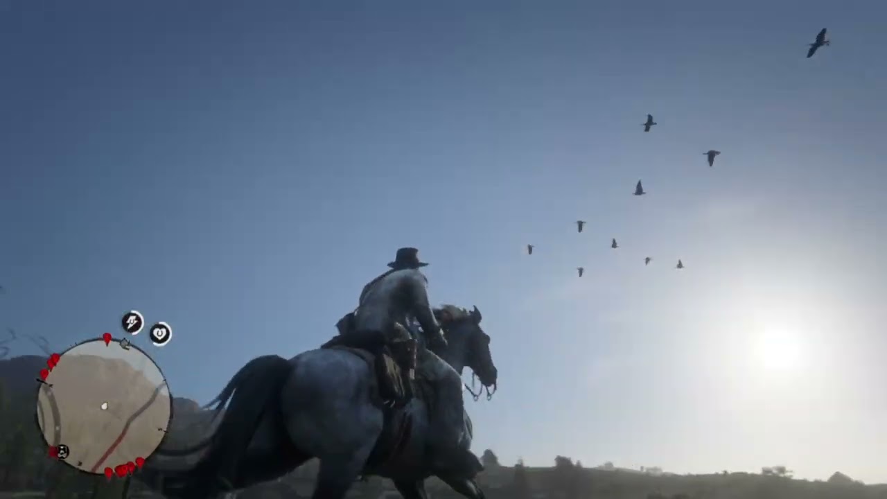 RED DEAD REDEMPTION 2 SPIDERWEB MYSTERY THE BIRDS GET SOME TOO