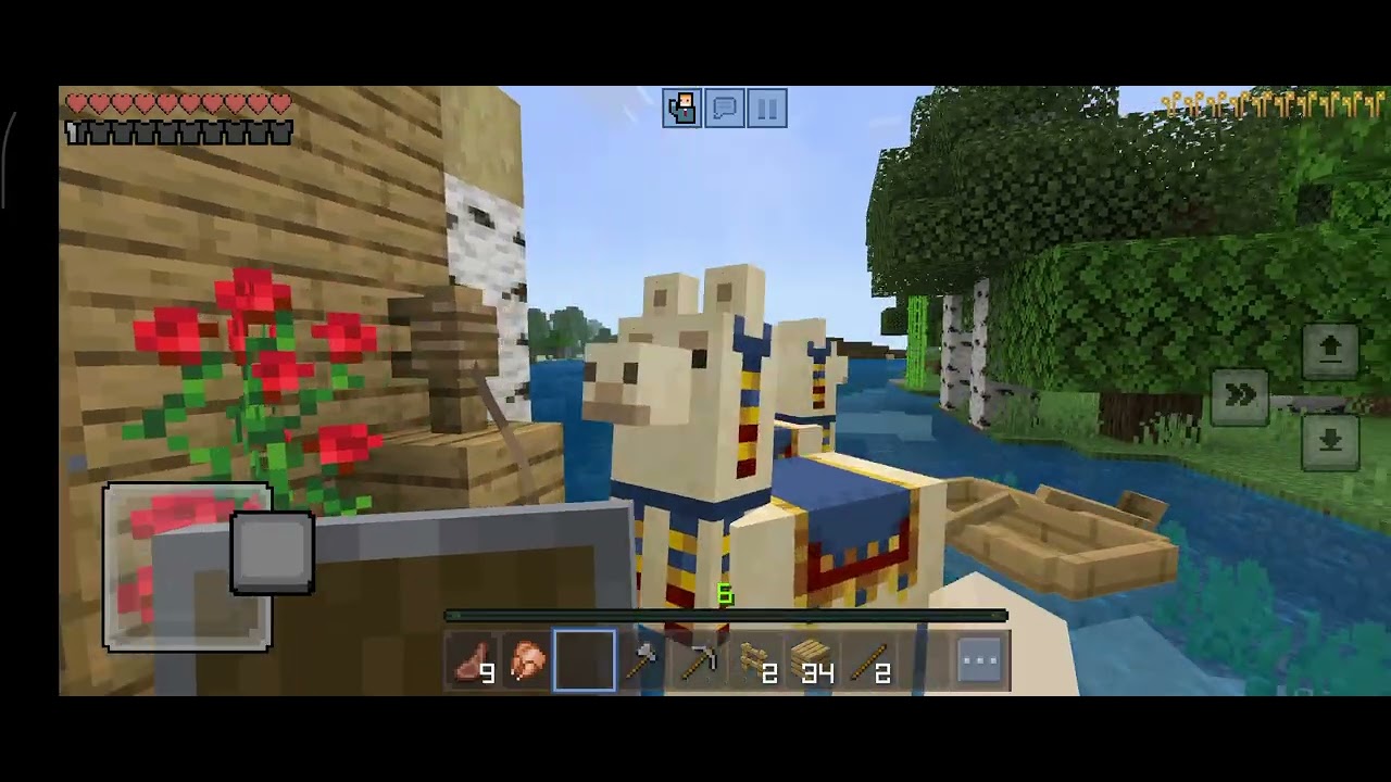 Arkadaşlar ev yaptım 