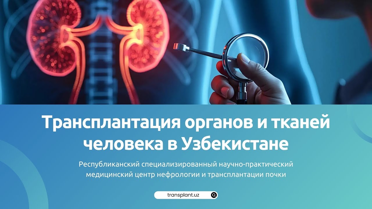 Трансплантация почки в Узбекистане | Нефрология