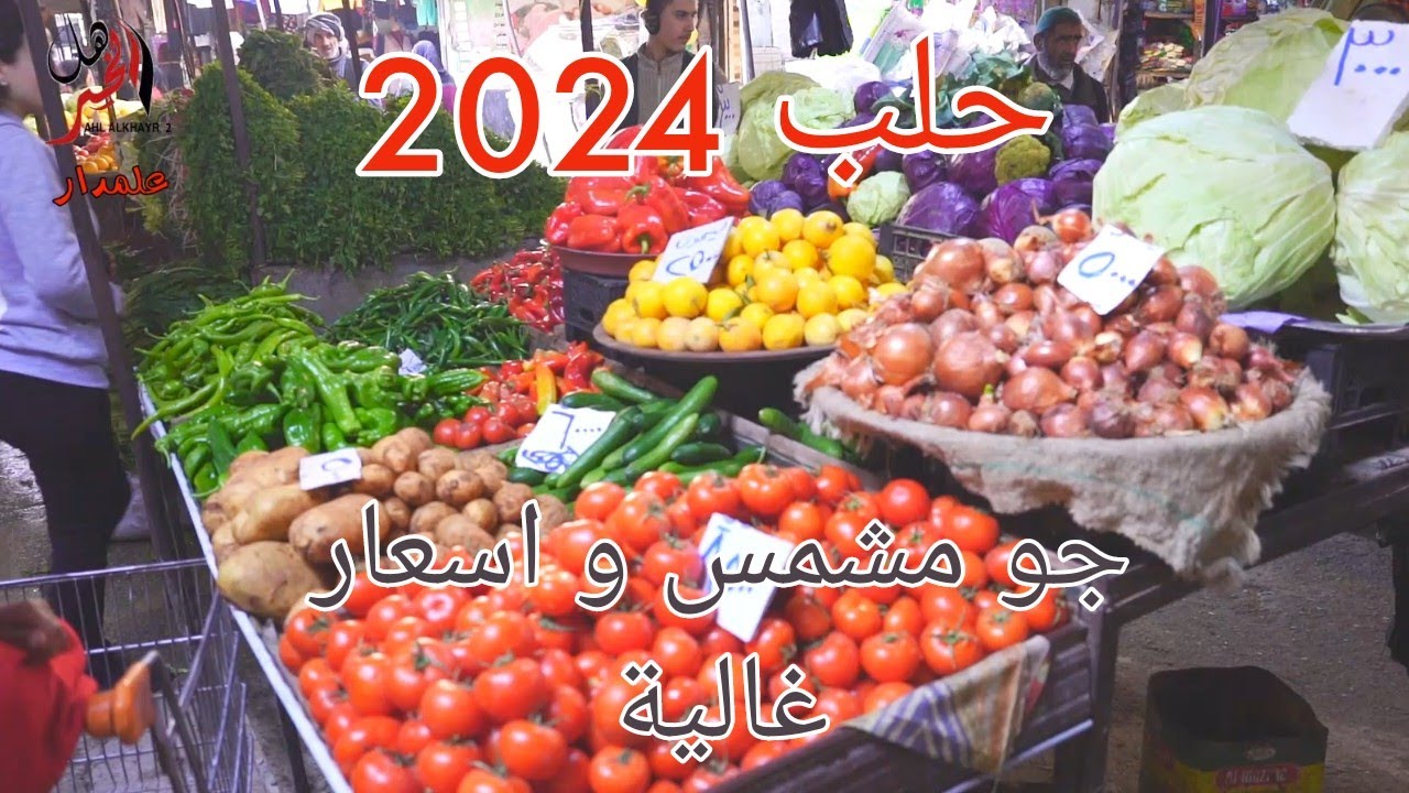 مدينة حلب معروفة بلطبخات تابعو الحقلة لتشوفو 😋😋😋